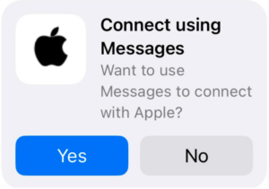 Apple Messages for Business